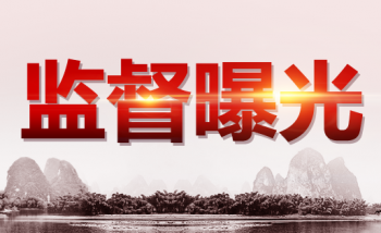 扶贫领域腐败和作风问题专项治理