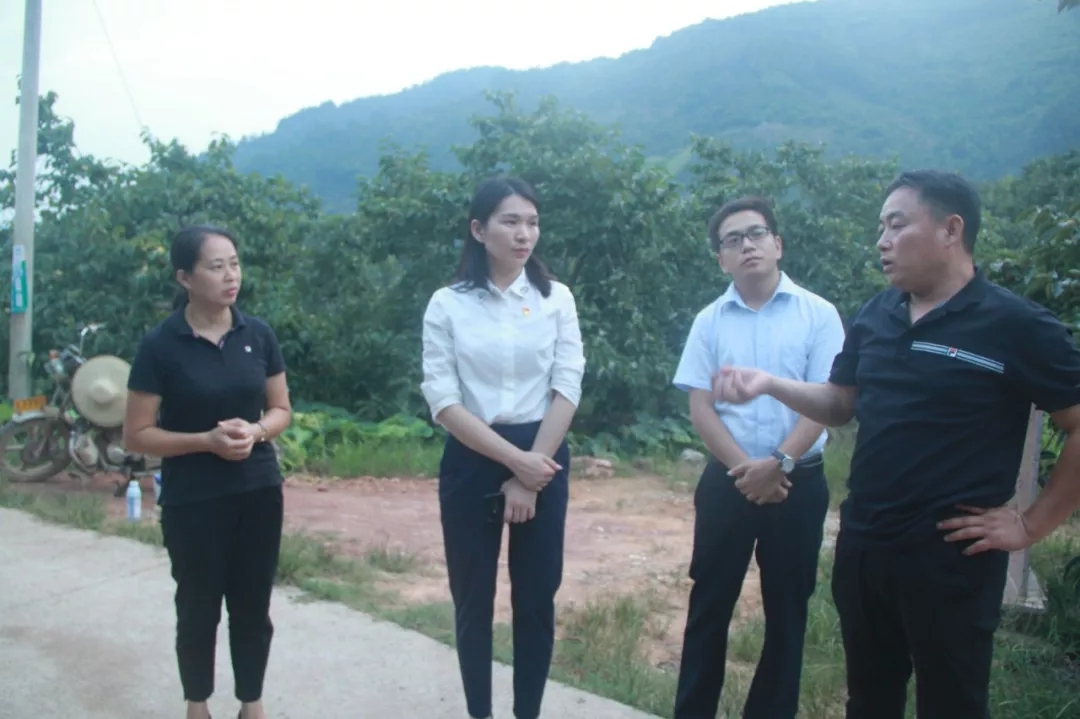 平乐县领导深入桥亭乡调研乡村振兴建设