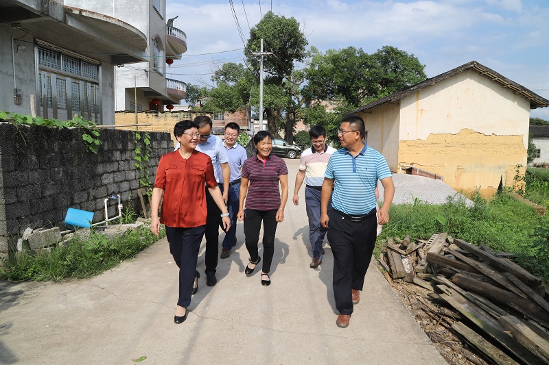 图为荔浦市市长李玉清(前排左一)到马岭调研扶贫基础设置建设项目