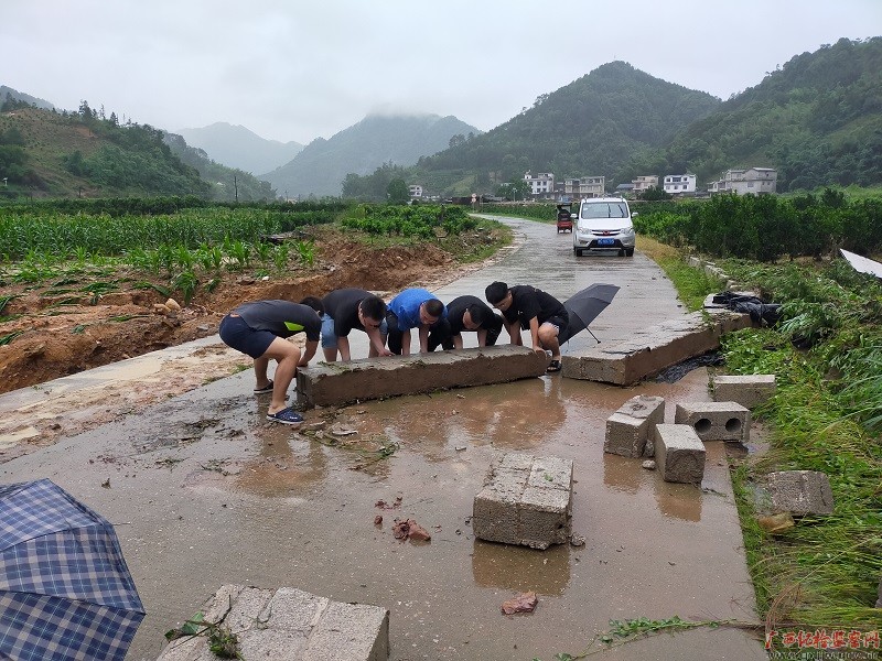 镜头|闻“汛”而动,向水而行!我区纪检监察干部积极投身防汛抗洪救灾工作