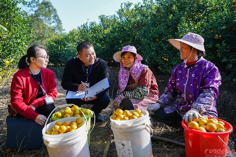 以高质量监督推进高质量发展访广西壮族自治区党委常委，区纪委书记、监委主任房灵敏