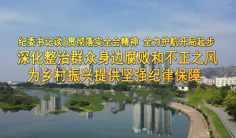 纪委书记谈∣贯彻落实全会精神，全力护航开局起步——荔浦市