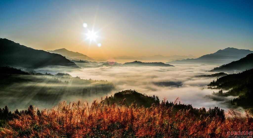 鏡頭丨大美11月