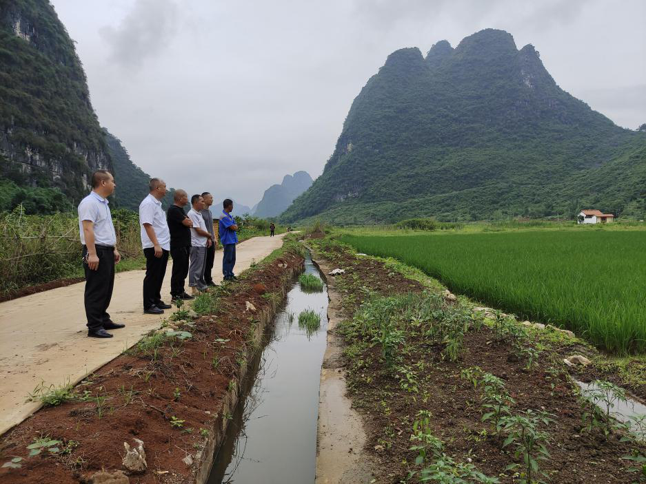 平乐县桥亭乡:转作风强监督 护航"旱改水"工程